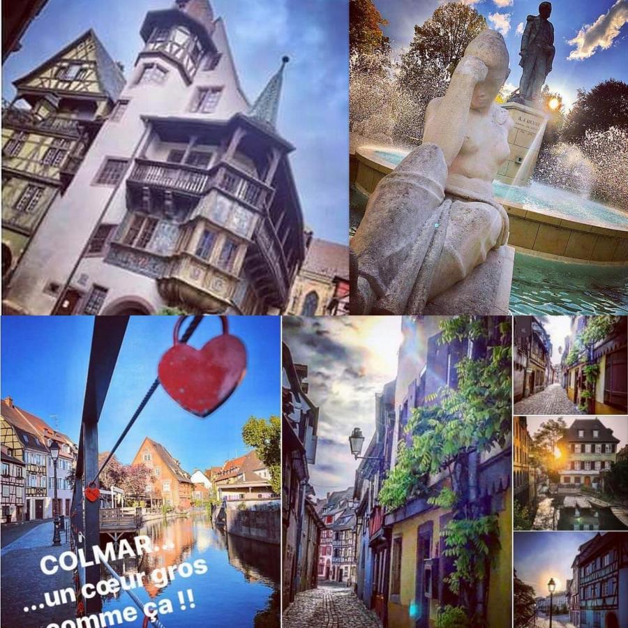LE 1  GÎTES TOUT CONFORT à COLMAR CENTRE Ngoại thất bức ảnh